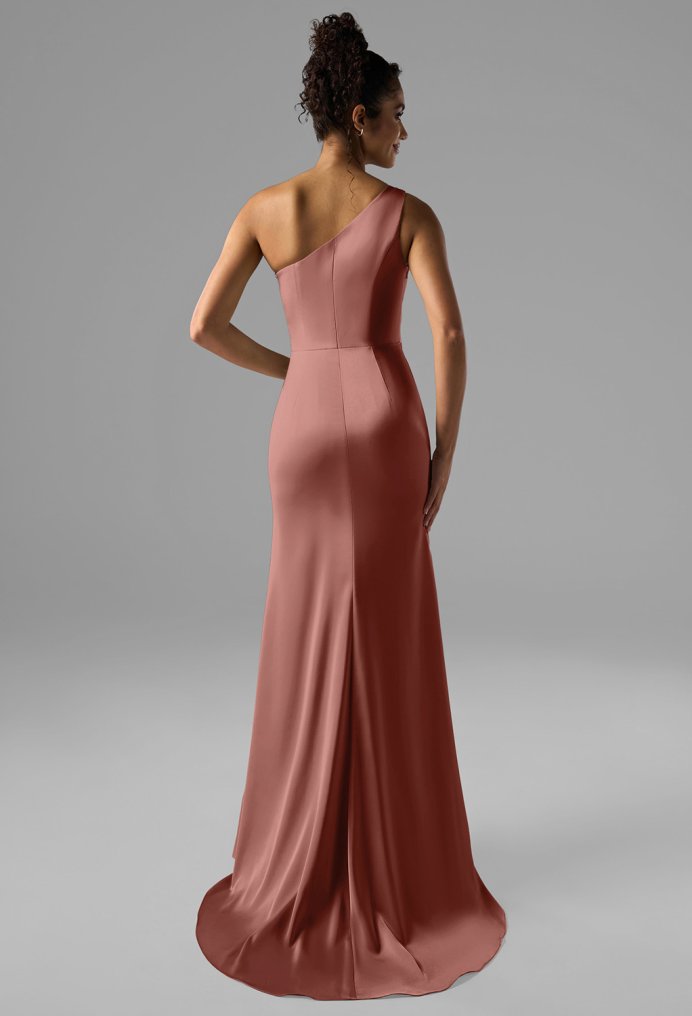 AW Rohan Dress